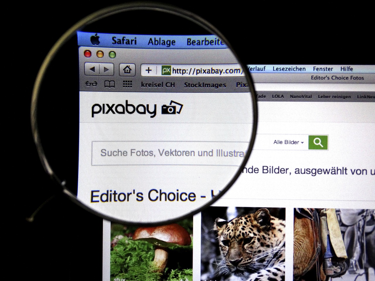 抖音seo大词案例研究 